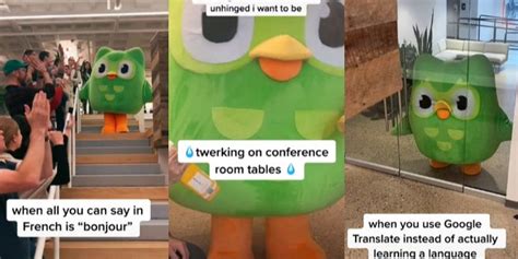 Find 'duolingo memes' on TikTok .